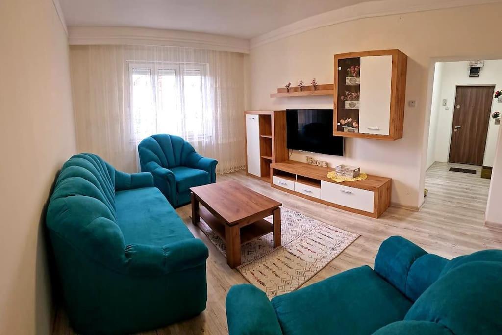 Ori Modern Apart Malul Muresului , Arad Exterior photo