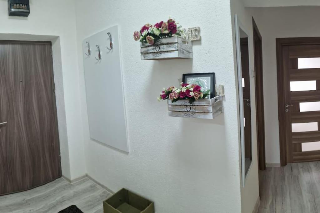 Ori Modern Apart Malul Muresului , Arad Exterior photo